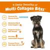 imageZesty Paws Multi Collagen Soft Chews for Dogs  for Hip Joint ampamp Cartilage Support  Skin Health  with Collagen  Plus Eggshell Membrane Vitamin C ampamp Hyaluronic Acid  90 Count