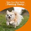 imageZesty Paws Multivitamin Treats for Dogs  Glucosamine Chondroitin for Joint Support  Digestive Enzymes ampamp Probiotics  Grain Free Dog Vitamin for Skin ampamp Coat  Immune Health  Chicken Flavor  90ctChicken  Mini Bites