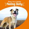 imageZesty Paws Multivitamin Treats for Dogs  Glucosamine Chondroitin for Joint Support  Digestive Enzymes ampamp Probiotics  Grain Free Dog Vitamin for Skin ampamp Coat  Immune Health  Chicken Flavor  90ctChicken
