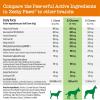 imageZesty Paws Multivitamin Treats for Dogs  Glucosamine Chondroitin for Joint Support  Digestive Enzymes ampamp Probiotics  Grain Free Dog Vitamin for Skin ampamp Coat  Immune Health  Chicken Flavor  90ctChicken  Hemp