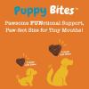 imageZesty Paws Multivitamin Treats for Dogs  Glucosamine Chondroitin for Joint Support  Digestive Enzymes ampamp Probiotics  Grain Free Dog Vitamin for Skin ampamp Coat  Immune Health  Chicken Flavor  90ctChicken  Puppy Bites