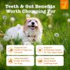 imageZesty Paws OraStix for Dogs  Probiotic Sticks with Hemp Seed Curcumin Ginger Root Taurine  Supports Gut Function Flora Immune System Proprietary Healthy Teeth Gum Blend  25ozPeppermint