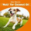 imageCoconut Oil for Dogs  Certified Organic ampamp Virgin Superfood Supplement  Digestive ampamp Immune Support  16 OZ