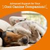 imageZesty Paws Calming Chews for Dogs  for Everyday Stress Relaxation Composure and Separation 90 Count TurkeyTurkey  Melatonin