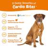 imageZesty Paws Cardiovascular Support for Dogs  Taurine for Dogs  with CoQ10 L Carnitine ampamp Sea Buckthorn  Senior Heart Health  AlaskOmega Fish Oil Omega 3  Senior  Salmon  90 CountSalmon