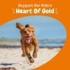 imageZesty Paws Cardiovascular Support for Dogs  Taurine for Dogs  with CoQ10 L Carnitine ampamp Sea Buckthorn  Senior Heart Health  AlaskOmega Fish Oil Omega 3  Senior  Salmon  90 CountSalmon
