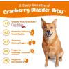 imageZesty Paws Cranberry Supplement for Dogs  Bladder Control for Dogs  Urinary Tract Support  Cranberry Chews  Immune ampamp Gut Support  Chicken  90 CountBacon