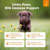 imageZesty Paws Dog Allergy Relief  Anti Itch Supplement  Omega 3 Probiotics for Dogs  Digestive Health  Soft Chews for Skin ampamp Seasonal Allergies  with Epicor Pets  Puppy  Lamb  90 Count