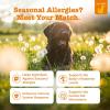 imageZesty Paws Dog Allergy Relief Dog Itching Skin Relief Dog Probiotics for Itchy Skin and Itchy Ears Dog Allergy Paw Relief Dog Allergy Chews Dog Itch Relief  Dog Skin Allergy Relief  Lamb  90ctLamb