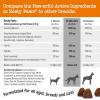 imageZesty Paws Dog Allergy Relief Dog Itching Skin Relief Dog Probiotics for Itchy Skin and Itchy Ears Dog Allergy Paw Relief Dog Allergy Chews Dog Itch Relief  Dog Skin Allergy Relief  Lamb  90ctSmoked Cheese