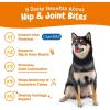 imageZesty Paws Hip and Joint Supplement for Dogs  Glucosamine with Chondroitin MSM Vitamins C and E Dog Joint Relief  Mobility Bites Duck  90 CountBacon