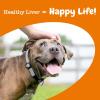 imageZesty Paws Liver Support Supplement for Dogs  with Milk Thistle Extract Turmeric Curcumin Choline  Soft Chew Formula  for Dog Liver FunctionChicken
