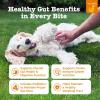 imageZesty Paws Probiotics for Dogs  Digestive Enzymes for Gut Flora Digestive Health Diarrhea ampamp Bowel Support  Clinically Studied DE111  Dog Supplement Soft Chew for Pet Immune System  PumpkinPumpkin