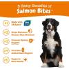 imageZesty Paws Salmon Oil for Dogs Skin and Coat Omega 3 Fish Oil Chews Dog Allergy Relief Chews Itch Relief Supplement 90 Count Salmon FlavorSalmon