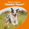 imageZesty Paws Salmon Oil for Dogs Skin and Coat Omega 3 Fish Oil Chews Dog Allergy Relief Chews Itch Relief Supplement 90 Count Salmon FlavorSalmon