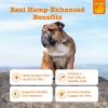 imageZesty Paws Salmon Omega Oil Hemp for Dogs and Cats with Wild Alaskan Salmon Oil Omega 3 and 6 Fatty Acids with EPA DHA for Pets Supports Normal Skin Moisture and Immune System Function 16oz16 Fl Oz