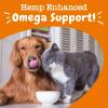 imageZesty Paws Salmon Omega Oil Hemp for Dogs and Cats with Wild Alaskan Salmon Oil Omega 3 and 6 Fatty Acids with EPA DHA for Pets Supports Normal Skin Moisture and Immune System Function 16oz16 Fl Oz