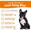 imageZesty Paws Scoot Away Soft Chews  Healthy Bowel Function with Bromelain Vita Fiber for Dogs ampamp Dandelion Root for Dog Digestive Support and Gut Health  90 Soft ChewsChicken