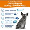 imageZesty Paws Senior Advanced Calming ampamp Cognition Soft Chews for Dogs  Supplements for Dog Brain Health ampamp Nervous System Support  Calming ampamp Relaxation with Ashwagandha DHA ampamp Melatonin
