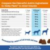 imageZesty Paws Senior Advanced Calming ampamp Cognition Soft Chews for Dogs  Supplements for Dog Brain Health ampamp Nervous System Support  Calming ampamp Relaxation with Ashwagandha DHA ampamp Melatonin