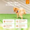 imageZesty Paws Stay Green Bites for Dogs  Grass Burn Soft Chews for Lawn Spots Caused by Dog Urine  with Cranberry for Urinary Tract ampamp Bladder  Beef  90 CountBeef