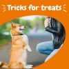 imageZesty Paws Training Treats for Dogs ampamp Puppies  Healthy Dog Treats for Hip Joint ampamp Muscle Health  Puppy Training Treats  for All Breeds and Ages  Dog Treats for Training  Bacon Flavor  12ozPeanut Butter