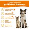 imageZesty Paws Wild Alaskan Salmon Oil for Dogs ampamp Cats  Omega 3 Skin ampamp Coat Support  Natural EPA ampamp DHA Fatty Acids for Joint Function Immune ampamp Heart Health Liquid Food Supplement 32 ozSalmon Oil