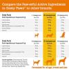 imageZesty Paws Allergy ampamp Immune Flavor Infusions for Dogs  with Omega 3 Salmon Oil for Sensitive Skin EpiCor Pets Colostrum ampamp Quercetin  Supports Seasonal Allergies  Chicken Flavor  16 fl ozChicken