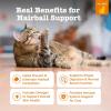 imageZesty Paws Hairball Bites for Cats  Cat Furball Support  Functional Supplement with Omega 3 Fish Oil EPA ampamp DHA  Zinc Biotin ampamp Psyllium Husk  Supports Gut ampamp Skin Health  60 Count