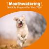 imageZesty Paws Mobility Flavor Infusions for Dogs  Hip ampamp Joint Support with Glucosamine Chondroitin ampamp MSM  Support for HIPS ampamp Joints  Cartilage Health  Chicken Flavor  16 fl oz