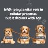 imageZesty Paws NAD Precursor Supplement for Dogs  Niagen for Healthy Aging ampamp Skeletal Muscle Support ampamp Recovery  Brain Heart ampamp Cellular Energy Support  Nicotinamide Riboside Chloride  60 Capsules30 Count