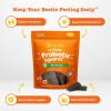 imageZesty Paws Probiotic Soft Chew Squares for Dogs  with 500 Million CFU of Probiotics  Ginger  for Dog Digestive Health Gut Flora ampamp Bowel Movement Support  Smoked Turkey Flavor  10 oz