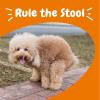imageZesty Paws Solid Poop Support Bites  Dog Stool Hardener  Pumpkin for Dogs with Prebiotics ampamp Probiotics  Veterinarian Formulated Soft Chews  for Diarrhea Relief  90 CtChicken