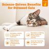 imageZesty Paws Calming Mousse for Cats  Composure ampamp Relaxation for Stress ampamp Separation  Cat Calming Supplement with Ashwagandha LTheanine Valerian Root ampamp Vitamin B114 Count