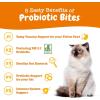 imageZesty Paws Probiotic Bites for Cats  Gut Flora ampamp Immune System Support  Cat Supplement with DE111 Bacillus subtilis  Pet Soft Chews with Probiotics ampamp Prebiotics for Digestive Health  60 Count