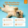 imageZesty Paws Puppy Probiotics for Dogs  for Digestive Health Gut Flora ampamp Immune System Support  Dog Probiotics for Puppies with Bacillus subtilis ampamp Pumpkin  90 Count