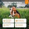imageZesty Paws Flea and Tick Shampoo for Dogs  Veterinarian Formulated Flea Shampoo for Dogs to Kill Fleas Ticks ampamp Their Eggs  Soothes Itchy ampamp Irritated Dog Skin  Cedarwood Rosemary ampamp Peppermint OilShampoo  Flea  Tick